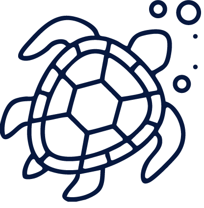 Playas y Tortugario