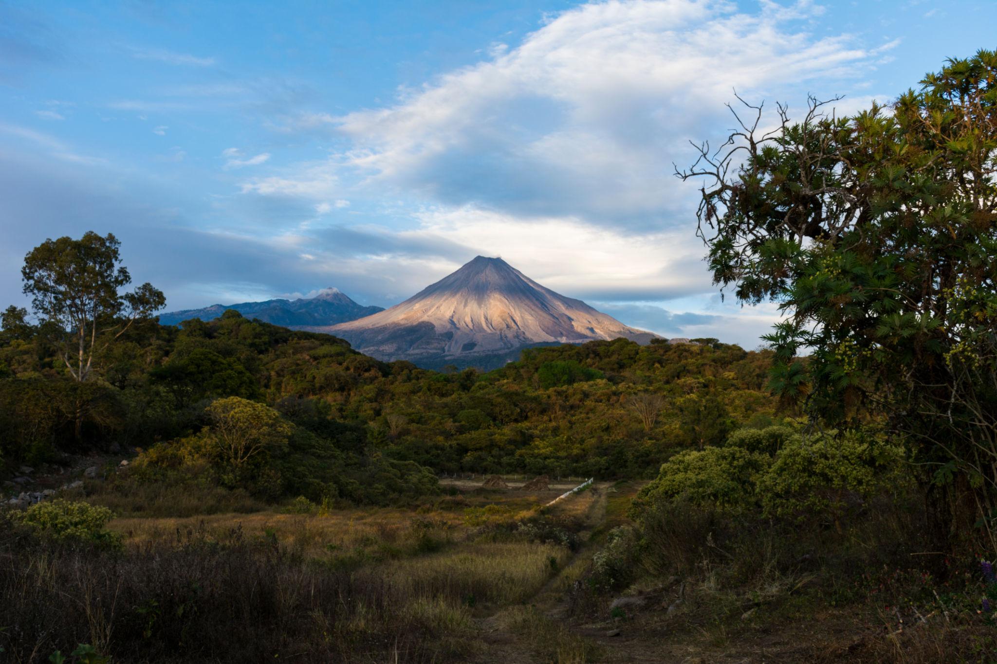 Colima