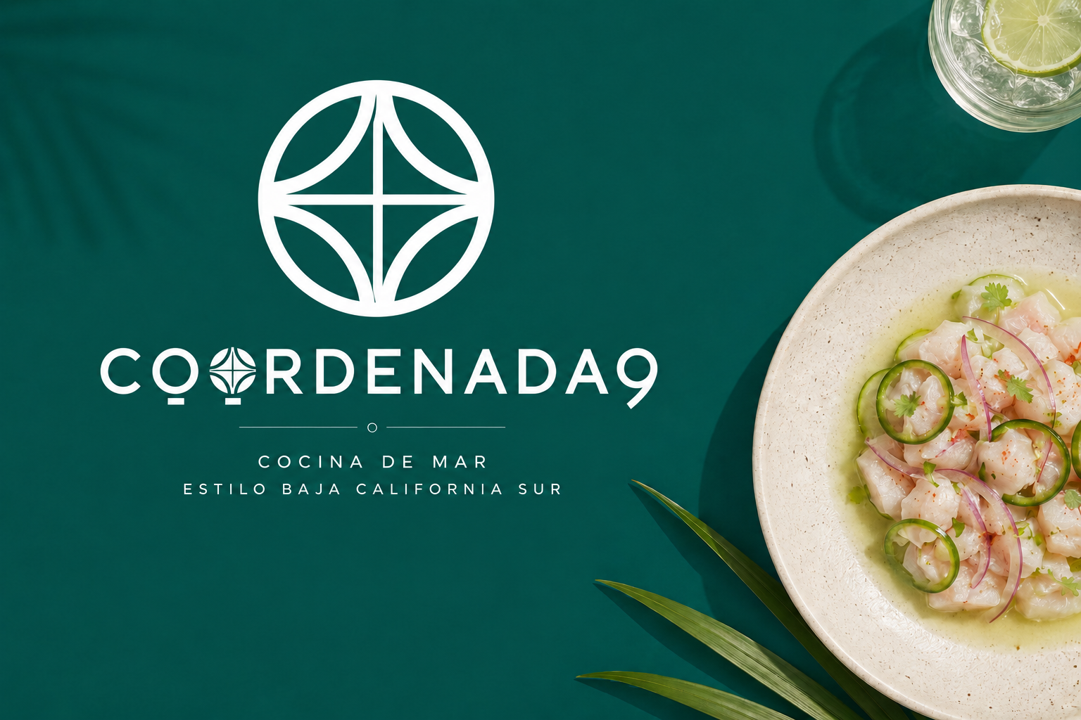 Coordenada 9